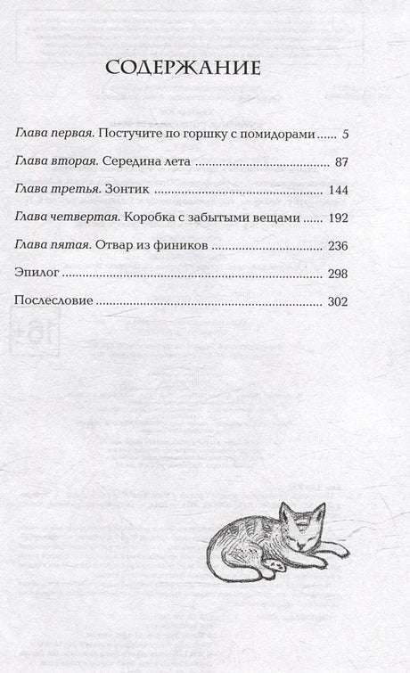 Содержание: главы о помидорах, лете, зонтике, забытых вещах, отваре из фиников