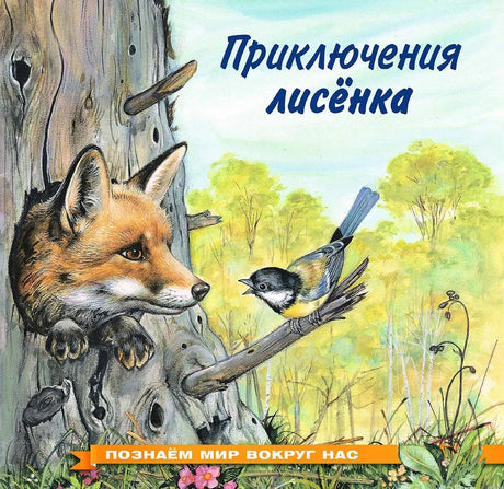 Обложка книги "Приключения лисенка". Познаем мир вокруг нас