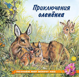 Обложка книги "Приключения оленёнка"