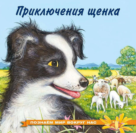 Книга для малышей "Приключения щенка"