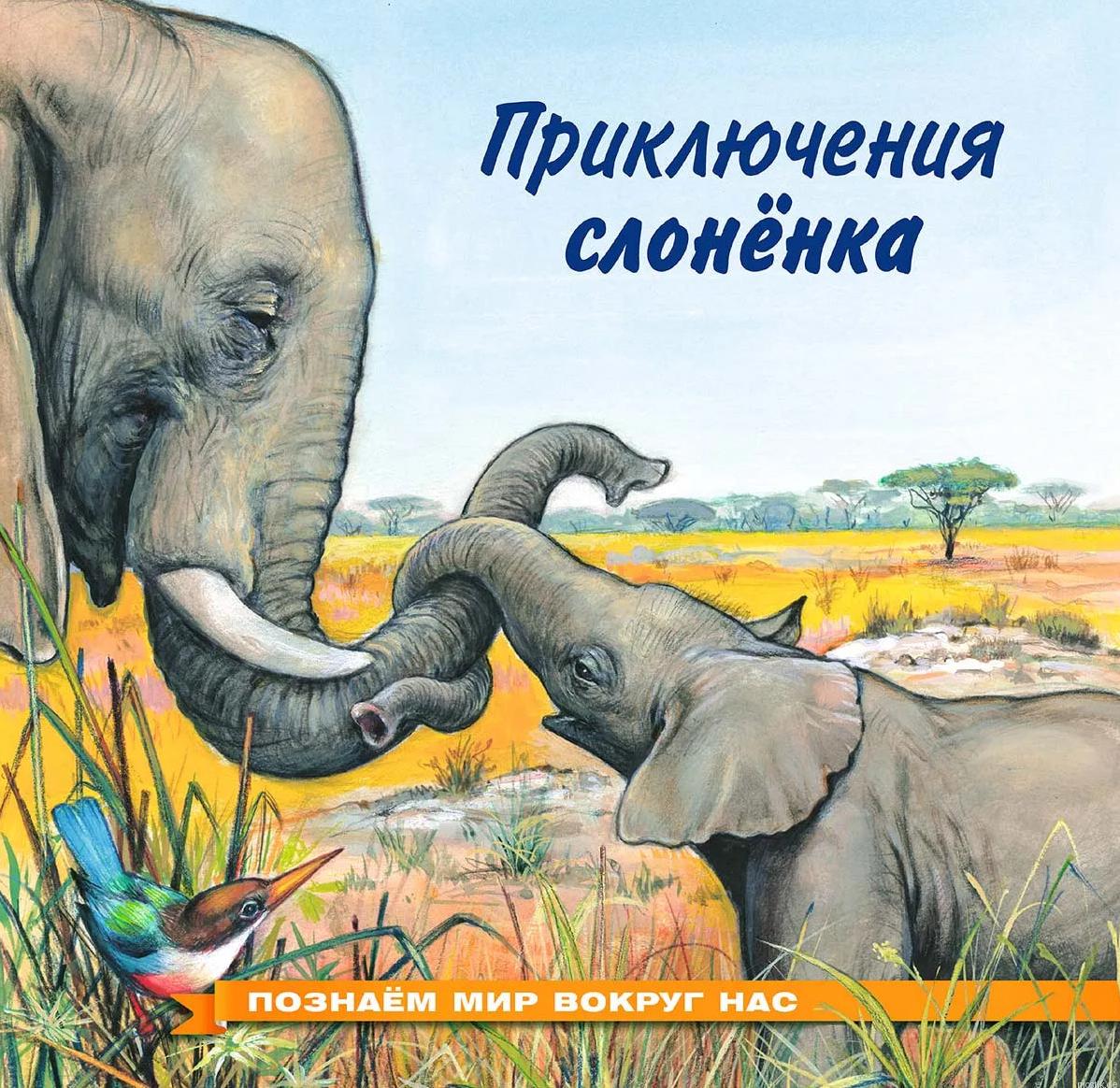 Обложка книги "Приключения слоненка"