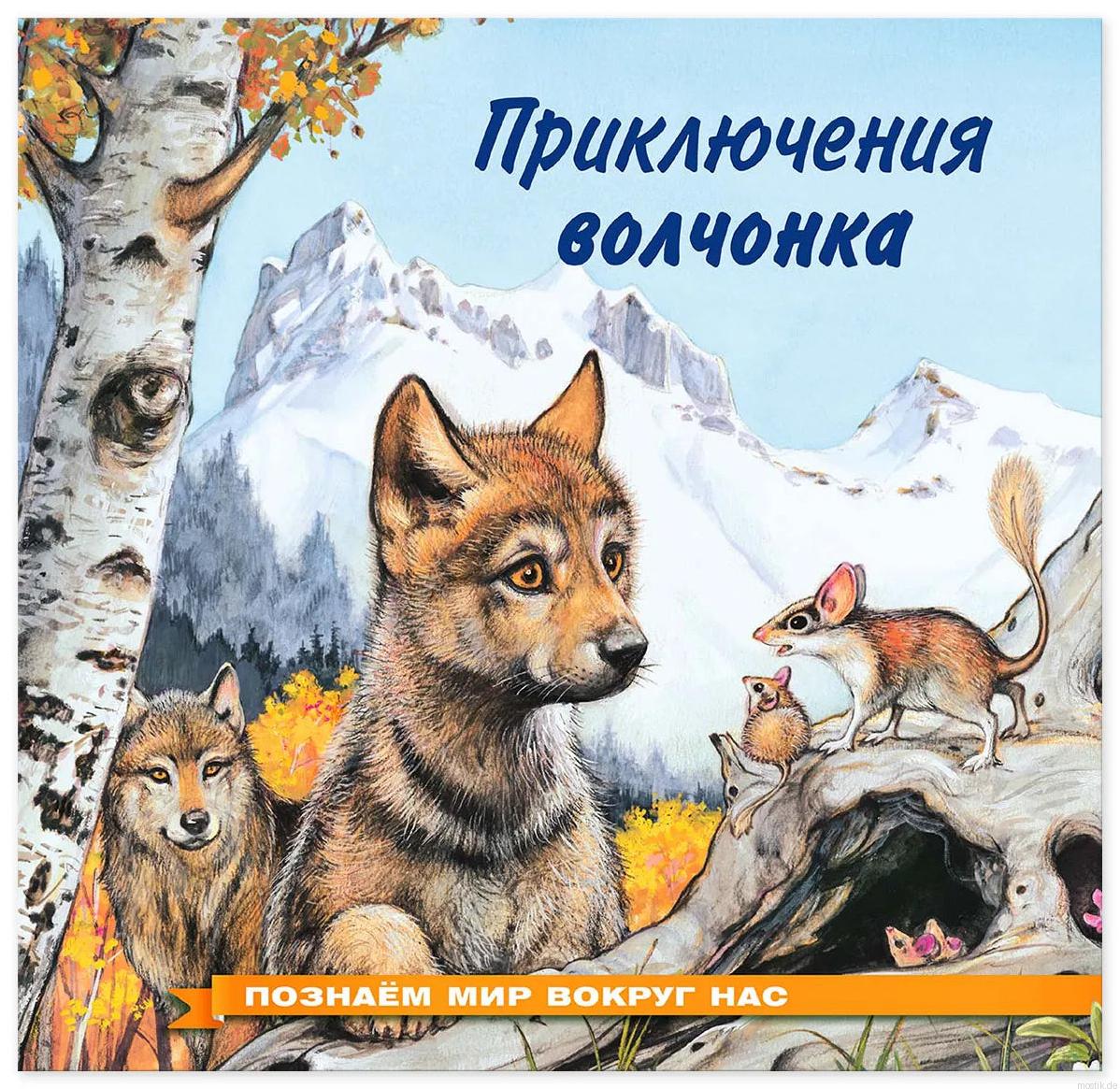 Обложка книги "Приключения волчонка"