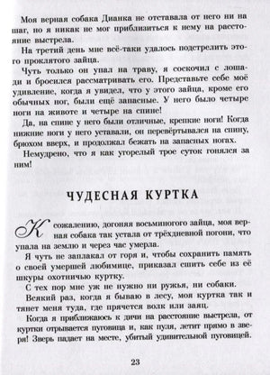 Страница 23 с главой «Чудесная куртка»