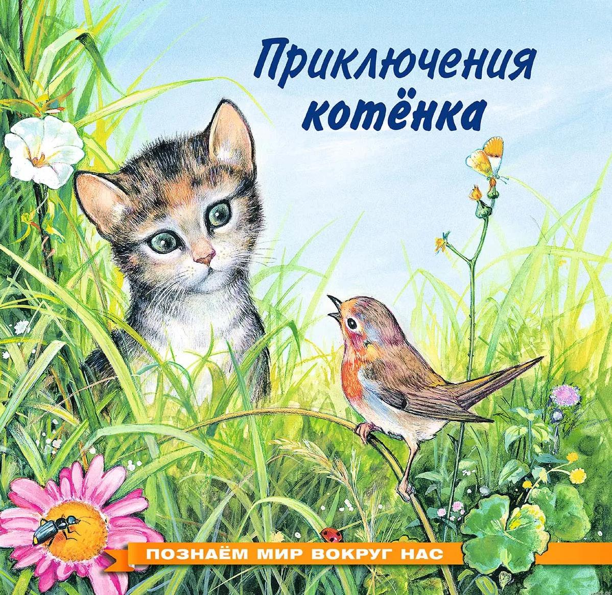 Обложка книги "Приключения котенка"