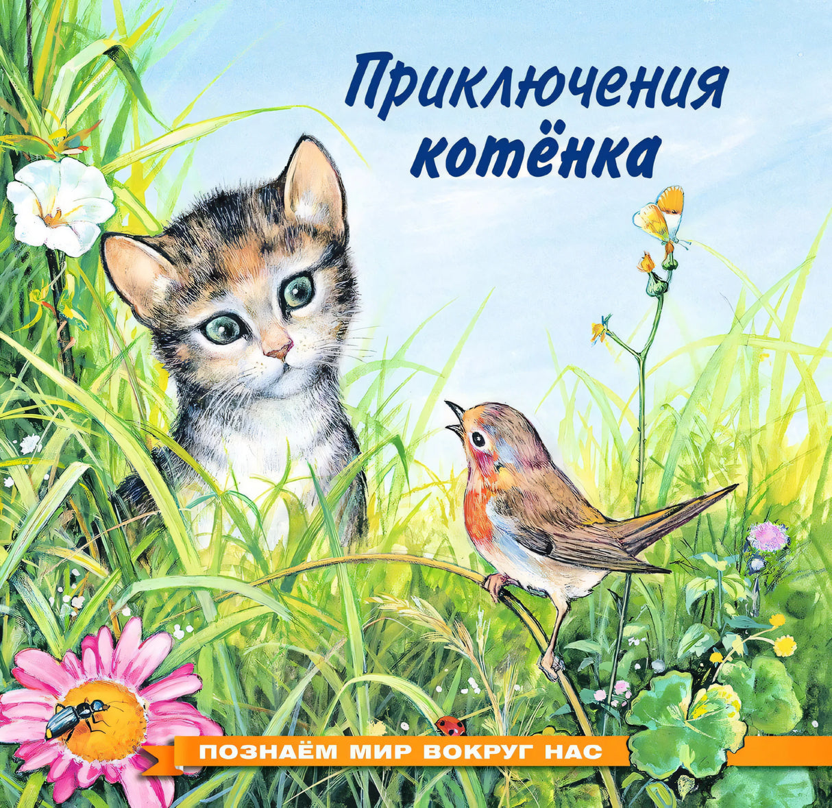 Приключения котёнка
