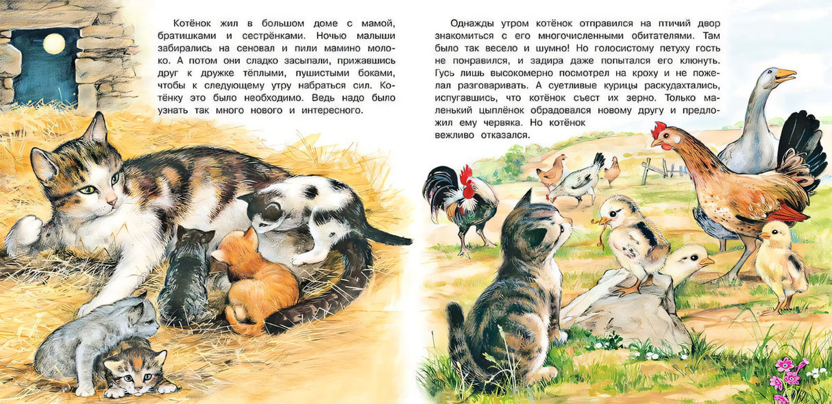 Приключения котёнка