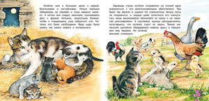 Приключения котёнка