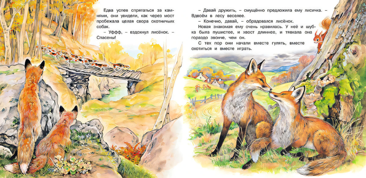 Приключения лисёнка
