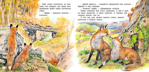 Приключения лисёнка