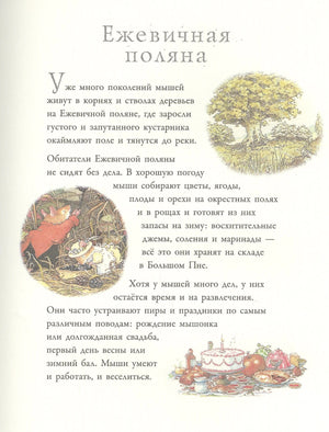 Приключения на Ежевичной поляне 9785171360962