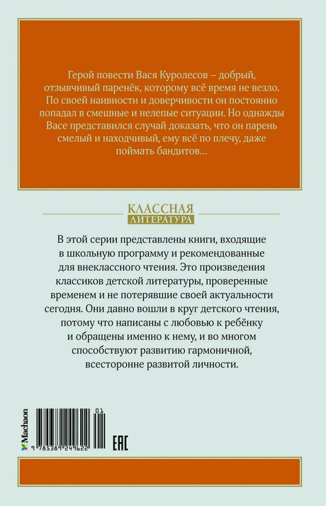Задняя обложка книги с аннотацией, логотипом серии и штрихкодом