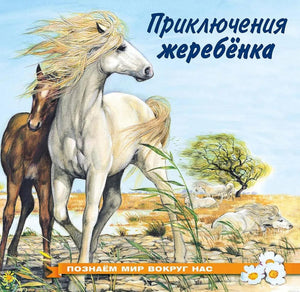 Обложка книги "Приключения жеребенка"