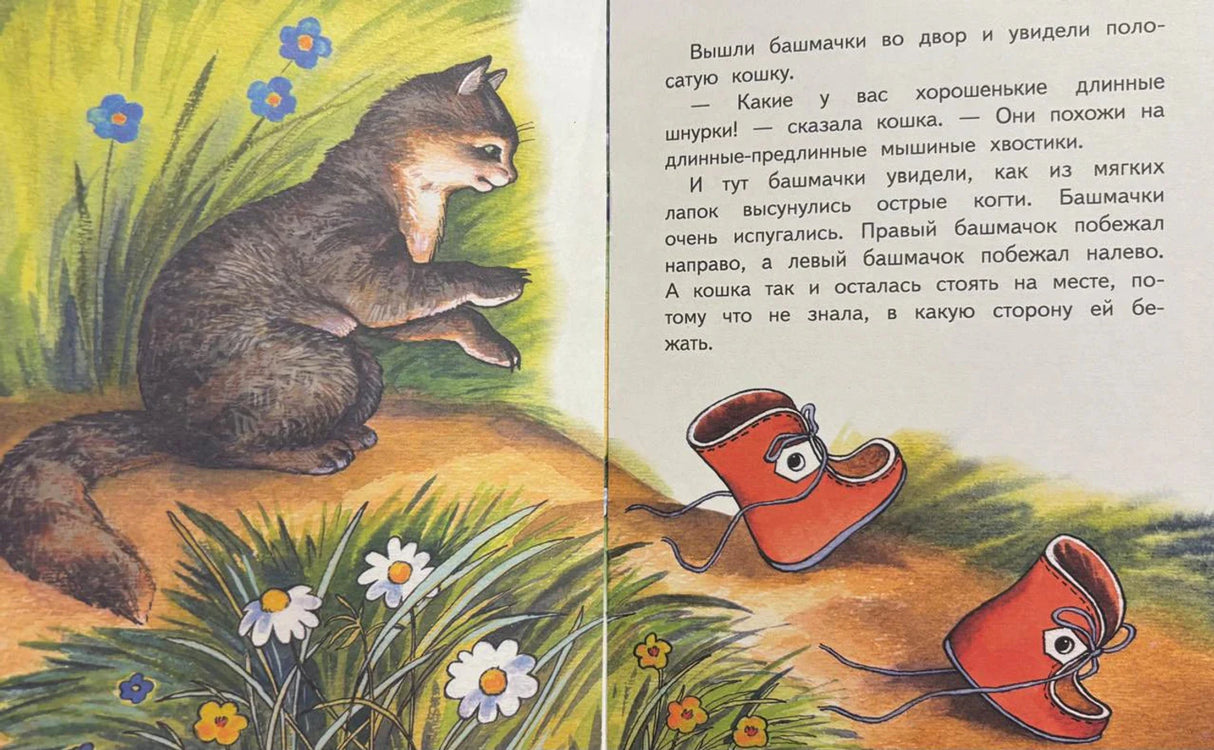 Разворот: кошка в траве и убегающие башмачки