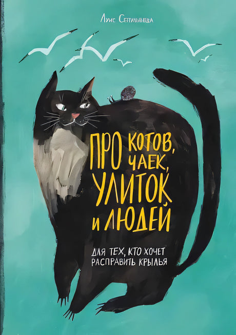 Бирюзовая обложка книги с чёрным котом и летящими чайками