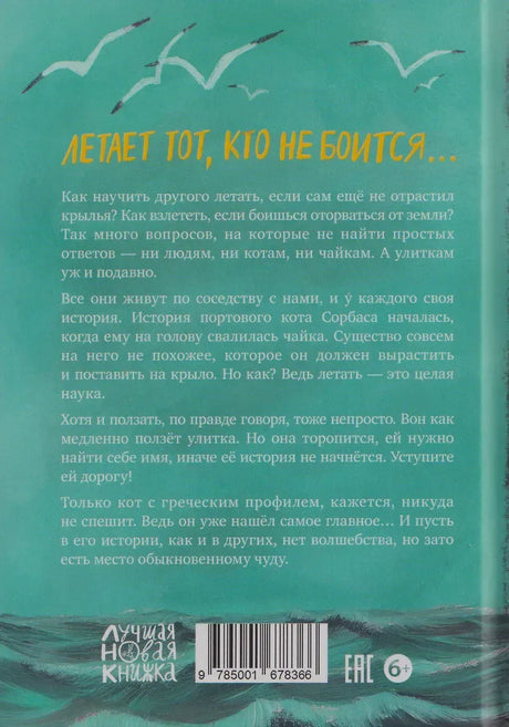 Бирюзовая задняя обложка с аннотацией, чайками, штрихкодом и маркировкой 6+