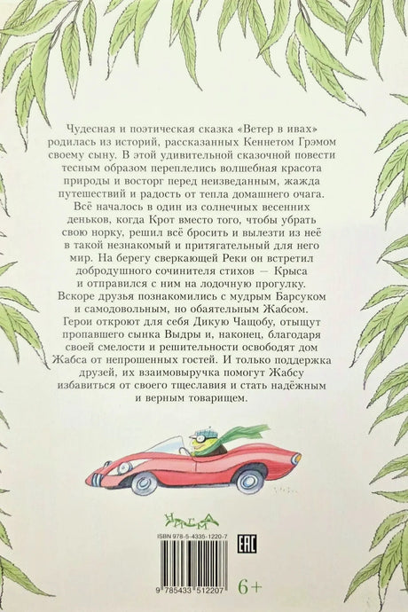 Задняя обложка с аннотацией, машинкой, штрихкодом и пометкой 6+