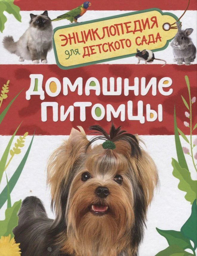 Энциклопедия для детского сада. Домашние питомцы
