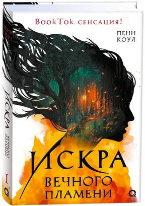 Обложка книги «Искра вечного пламени», Пенн Коул