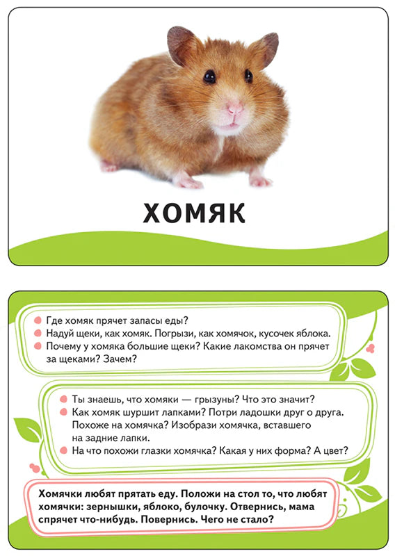 Карточка с хомяком и вопросами для развития ребёнка