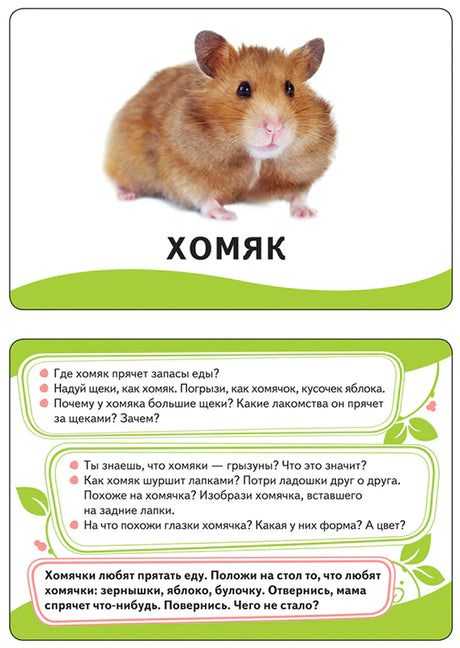 Карточка с хомяком и вопросами для развития ребёнка