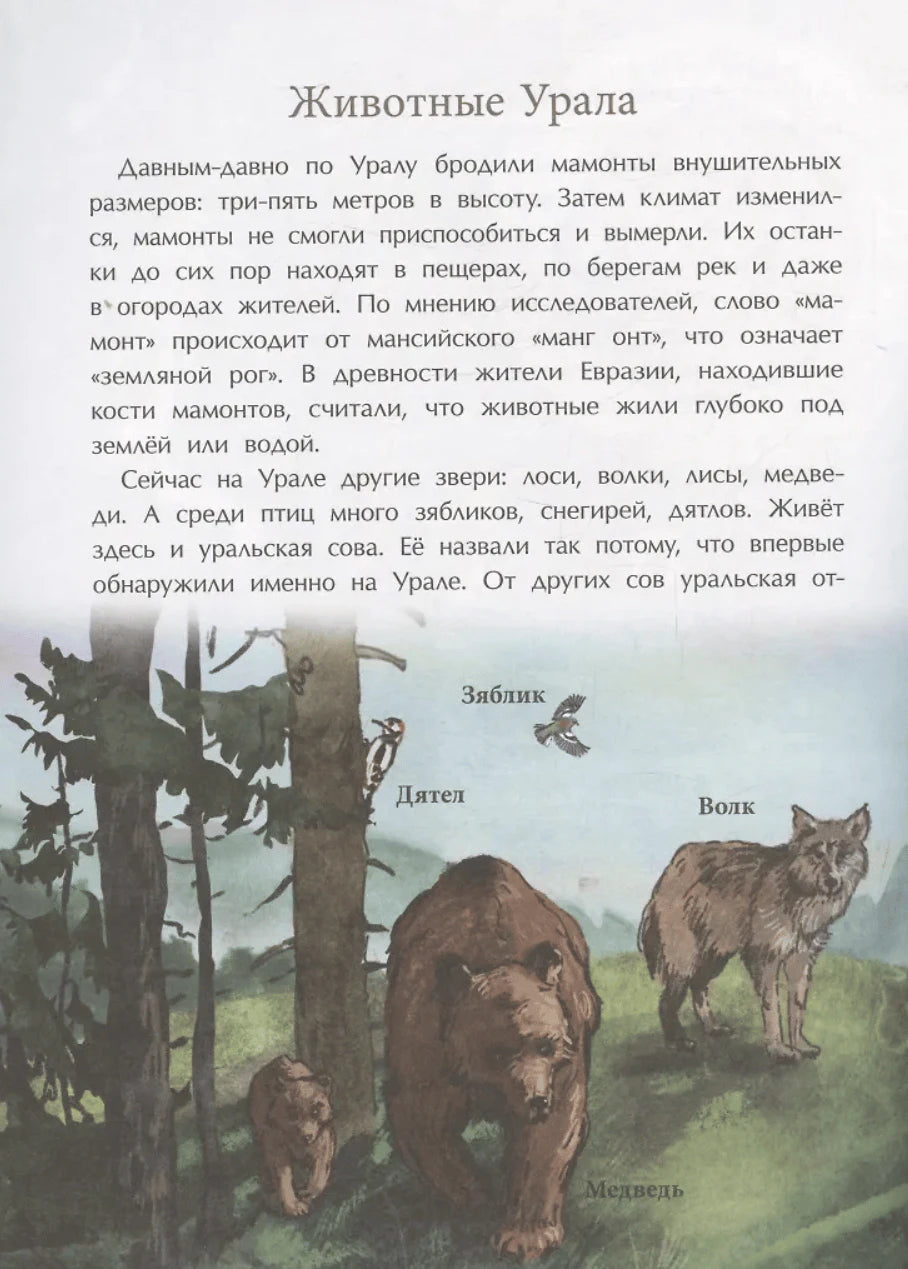 Страница «Животные Урала» с текстом и рисунками медведя, волка, дятла и зяблика