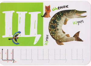 Карточка с буквой Щ: щенок, щука и строка для тренировки письма.