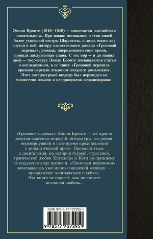 Задняя обложка с аннотацией и ISBN