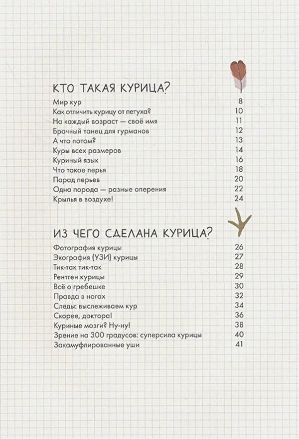 Оглавление: Кто такая курица, Из чего сделана курица