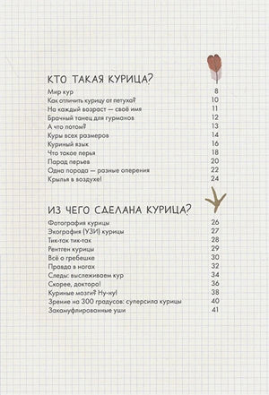 Оглавление: Кто такая курица, Из чего сделана курица