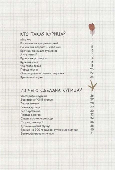 Оглавление: Кто такая курица, Из чего сделана курица