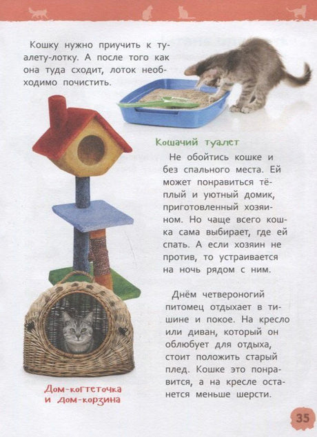 Страница 35: домик-когтеточка, лоток и сон кошки