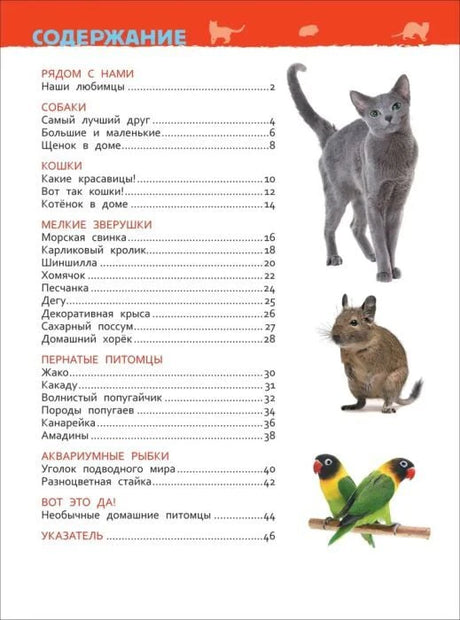 Содержание книги о домашних питомцах