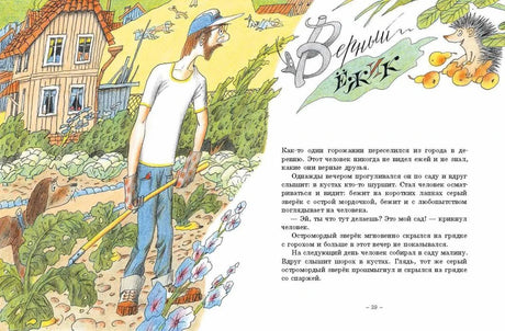 Разворот с иллюстрацией садовника и началом сказки «Верный ёжик», страница 39