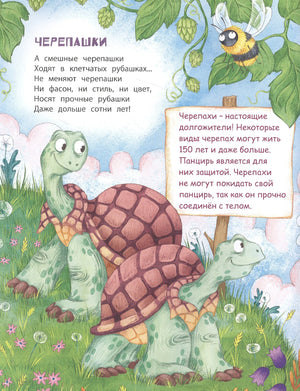 Страница «Черепашки» с двумя черепахами, шмелем и справкой на табличке