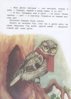 Иллюстрация совы в красном шарфе