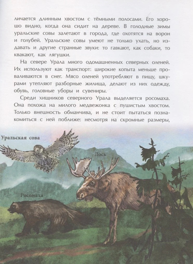 Страница о животных Урала с рисунками уральской совы, росомахи и лося
