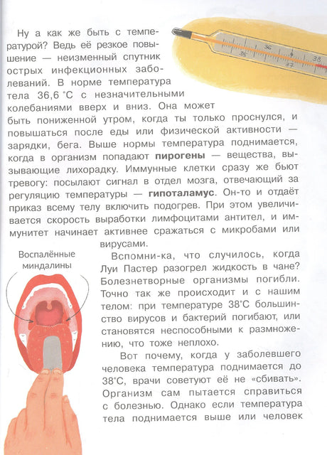 Страница о температуре тела и иммунных клетках с иллюстрацией градусника