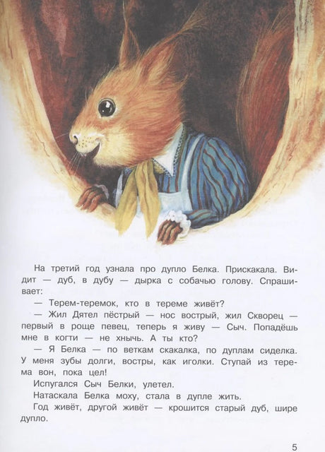 Иллюстрация белки в дупле, страница 5