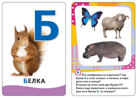 Карточки с буквой Б: белка, бабочка, баран, бегемот