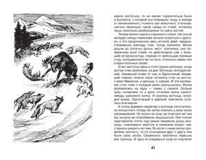 Разворот: иллюстрация с волками и лосем, стр. 41