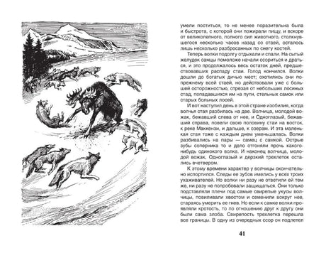 Разворот: иллюстрация с волками и лосем, стр. 41