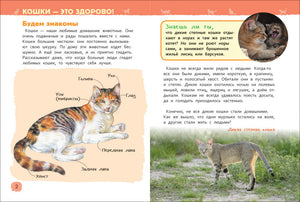 Разворот «Кошки — это здорово»: строение кошки и дикая степная кошка