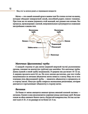 Страница 12 с текстом о матке и схемой женской репродуктивной системы