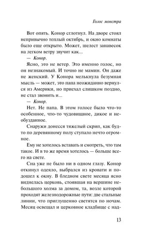 Страница 13 романа