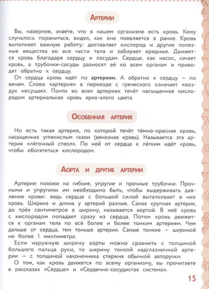 Текстовая страница про артерии, аорту и кровеносные сосуды