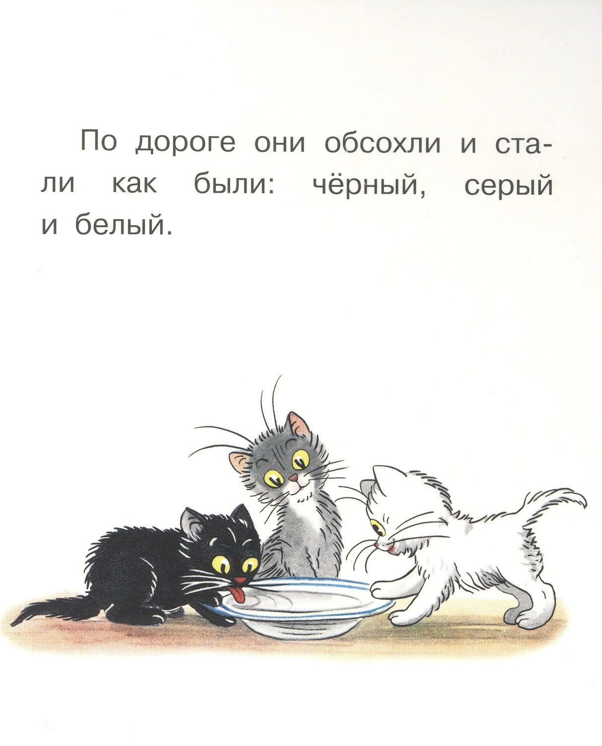Котята обсохли — чёрный, серый и белый пьют из миски