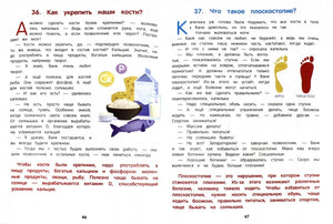 Разворот о костях и плоскостопии с продуктами и следами ног