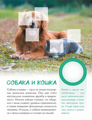 Страница о собаке и кошке с фотографией животных и текстом
