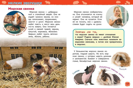 Разворот «Морская свинка» с фотографиями
