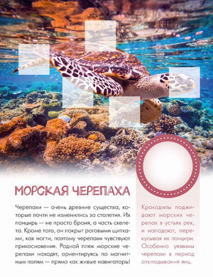 Страница о морской черепахе на коралловом рифе с местами для наклеек